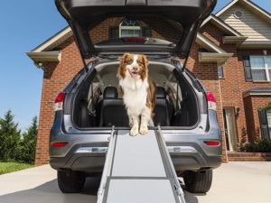 To Allow Your Pet To Get in And Out of Your Vehicle Safely